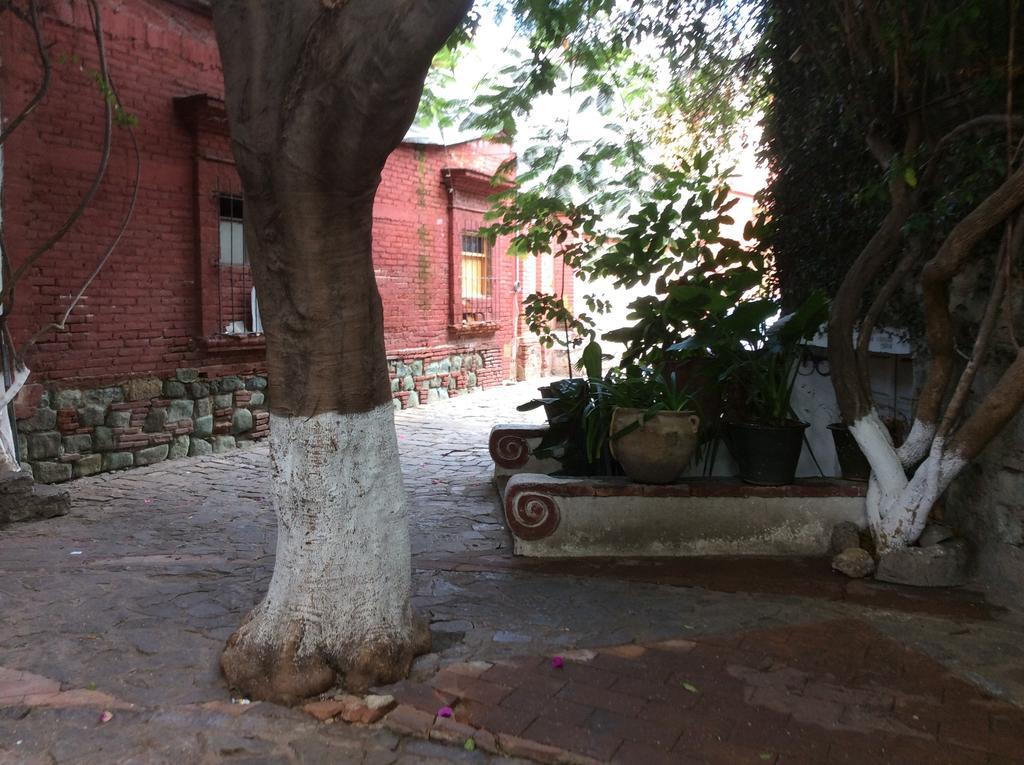 Casa Mixteca Santo Domingo Oaxaca Villa Exterior photo